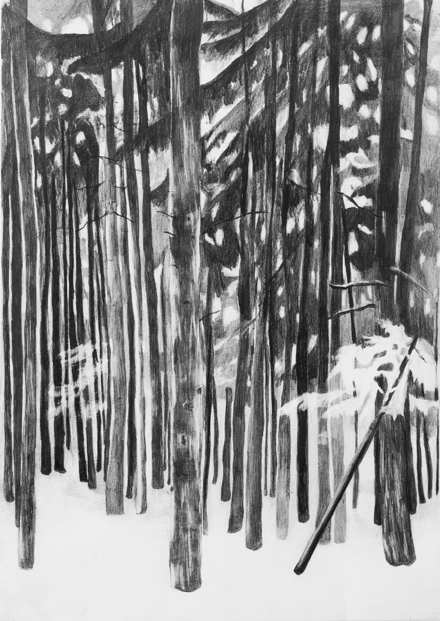 Maren Schimmer, 2017, „Kiefernharz am Hosensaum“, 42 x 29,5 cm, Bleistift auf Papier, Foto: Miguel Hahn