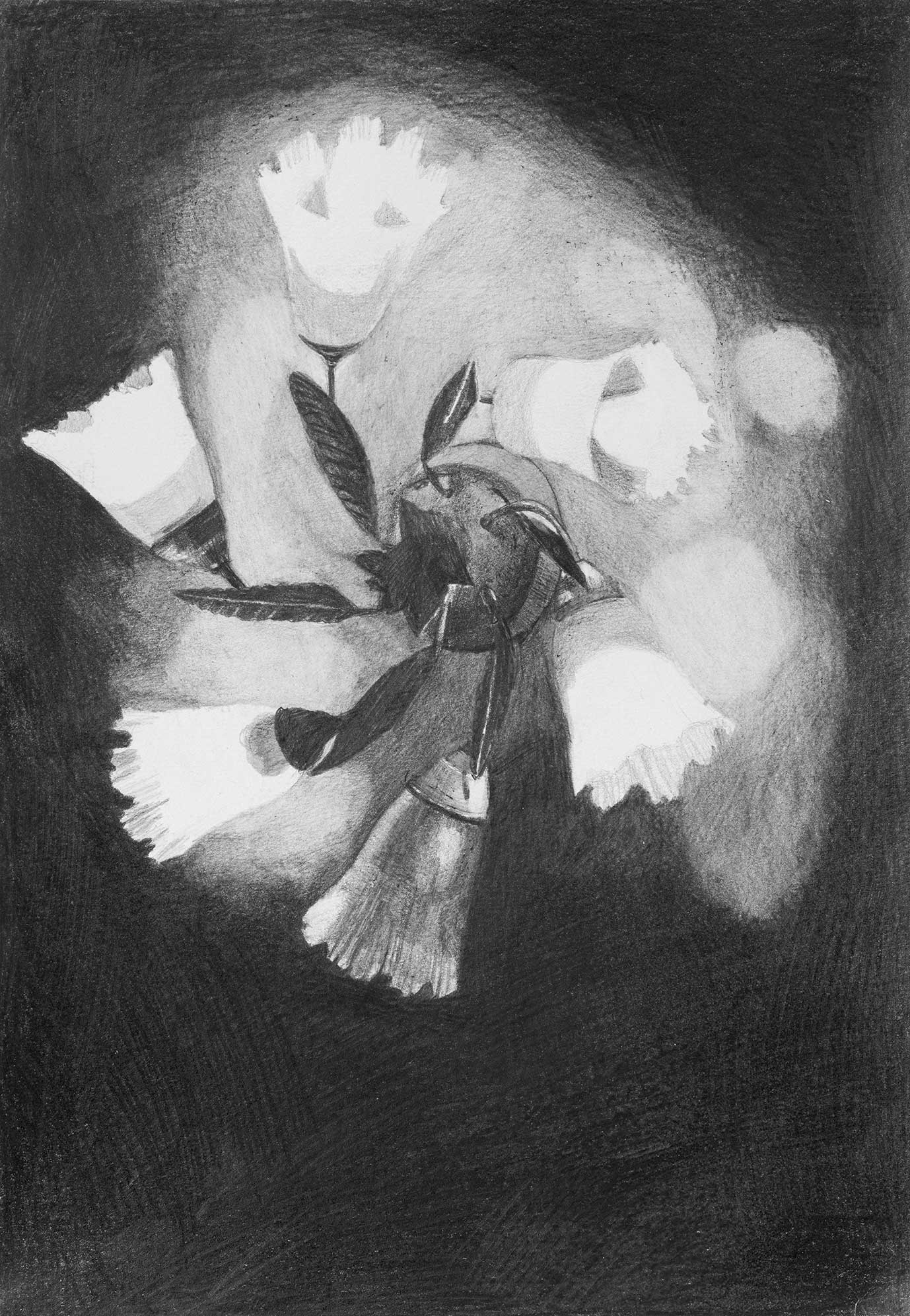 Maren Schimmer, „Nachtschattengewächs“, 2022, 29 x 21 cm, Bleistift auf Papier, Foto: Miguel Hahn
